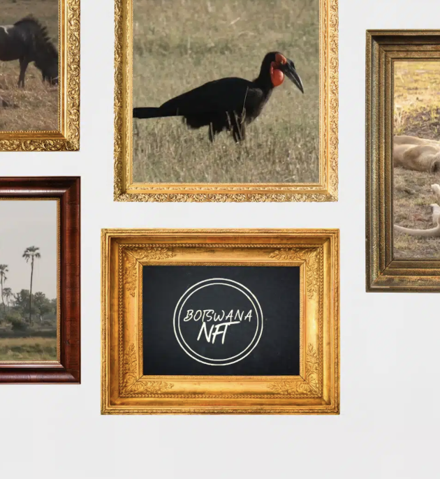 BOTSWANA NFT